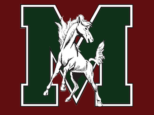 Morton District 201 Logo