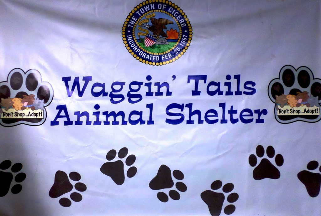 Waggin' Tails Cicero Animal Shelter official logo