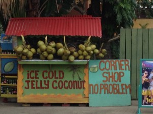 Coconut stand in Ocho Rios